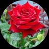 mariam_doust